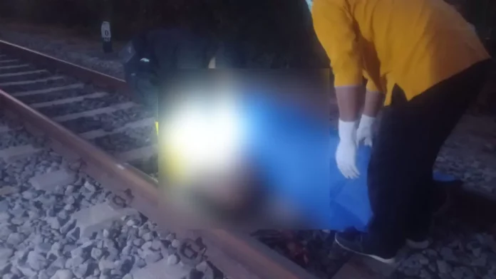 IMG-20230925-WA0009-2641658937