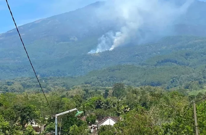 kebakaran-gunung-lawu-796551860
