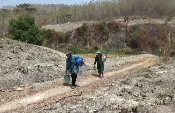 kekeringan-Dusun-Glagah-Selang-1992084858