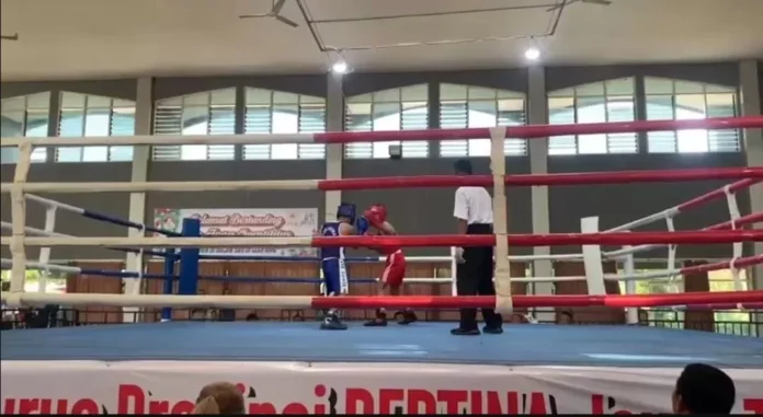 tinju-1-216607969 (1)