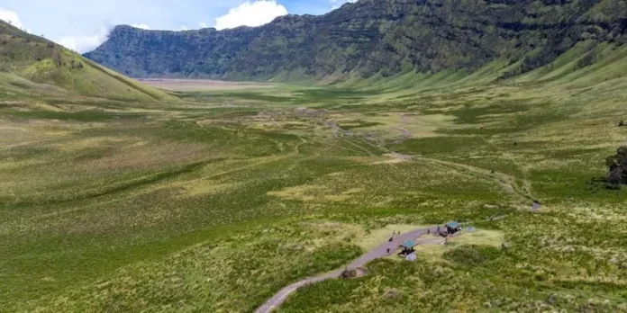 61fbfc67dc838-3241681253