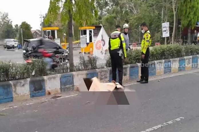 IMG_20231023_132058_11zon