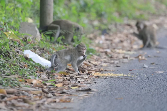 WhatsApp-Image-2023-10-11-at-154629-156495532