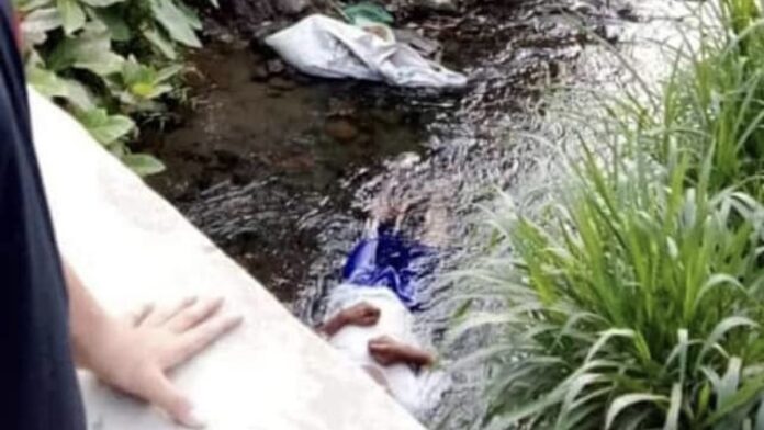 image0---2023-10-20t073417.559