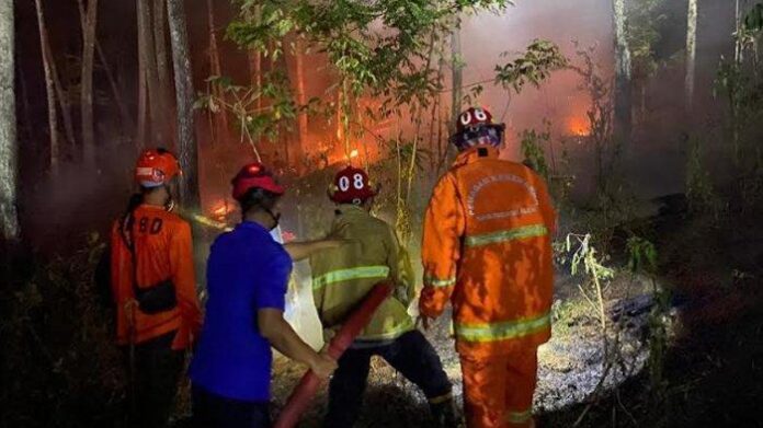 kebakaran-hutan-dan-lahan-di-trenggalek-akibat-puntung-rokok