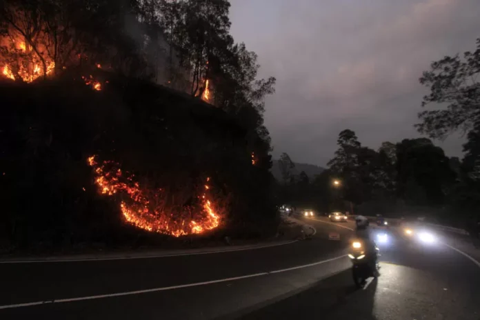 kebakaran-jlur-cemorosewu-2952564694