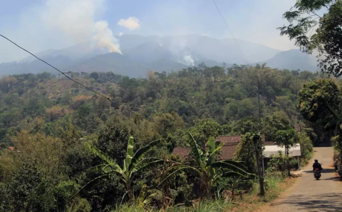 kebakaran-lawuJPG-2261085233