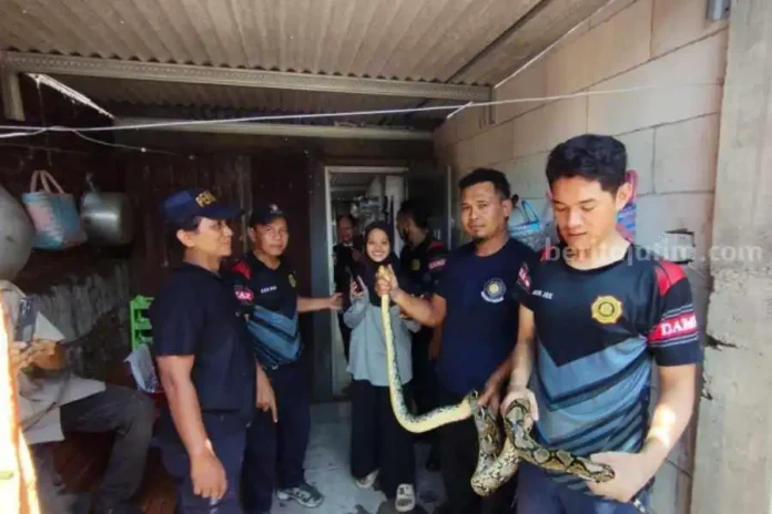 IMG-20231124-WA0018_1700809540250