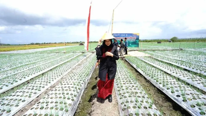 IMG_20231118_093148_115