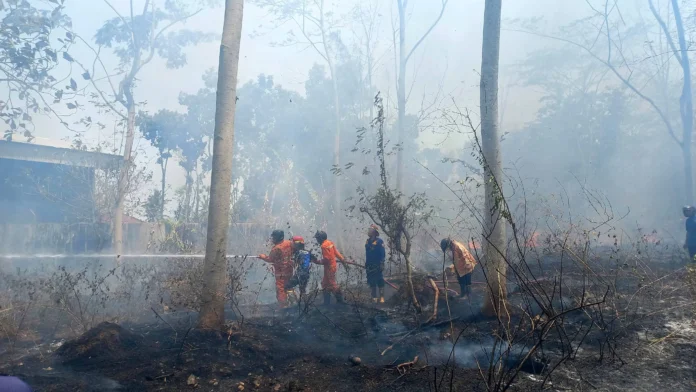 Kobongan-2-2967487811