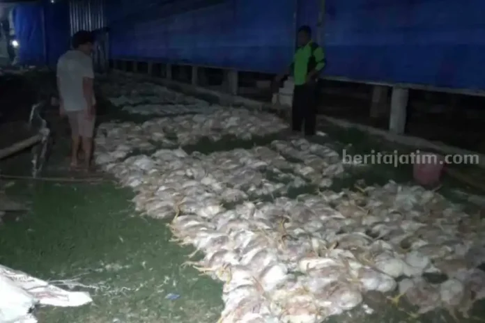 VideoCapture_20231108-094920_1699411787848