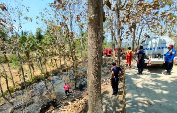 karhutla-1-3153902308