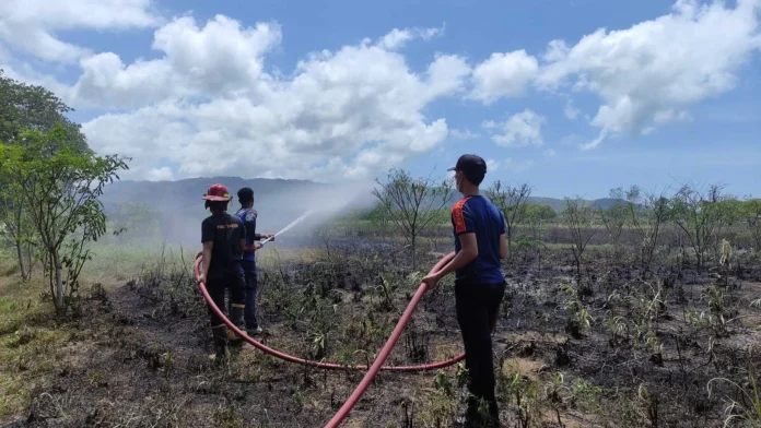 kebakaran1-2120953081