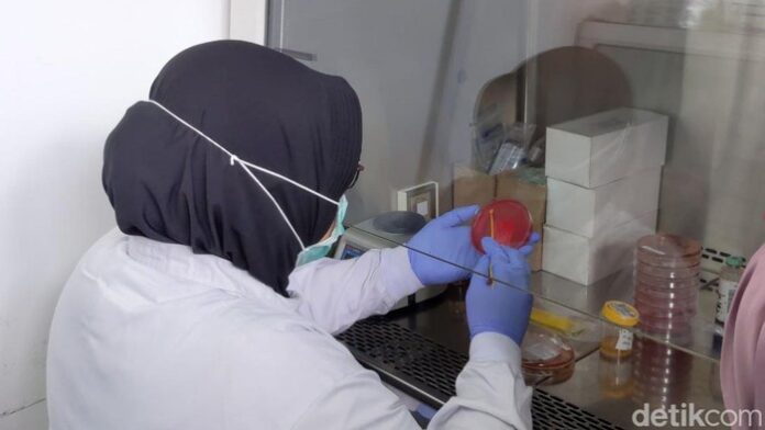 skrining-kanker-serviks-yang-diklaim-termurah-di-rsud-dr-iskak-tulungagung-1_169