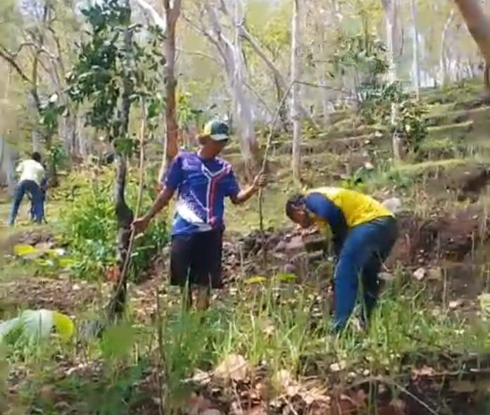 Screenshot_2024-11-10-20-35-18-58_6012fa4d4ddec268fc5c7112cbb265e7