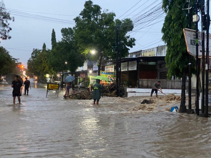 WhatsApp Image 2024-12-24 at 20.16.16