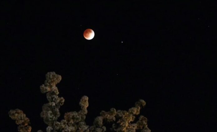 WhatsApp Image 2025-09-08 at 08.13.11