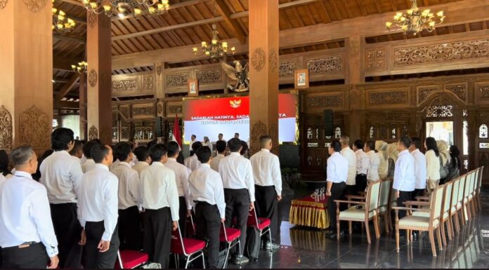 WhatsApp Image 2025-09-25 at 08.45.24